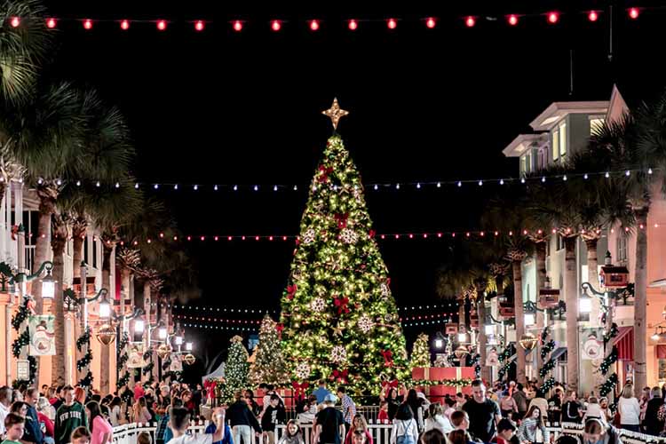 christmas celebration, florida