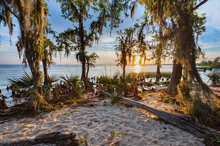 hike in the grayton beach state park